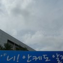 10월 9일(왜관.중앙.낙산 초등학교 체육대회) 이미지