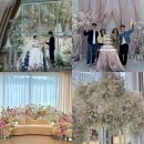 (주) 나유 | W20. 대전 씨엘드레브 시연회 참석 후기(스압주의🩵)