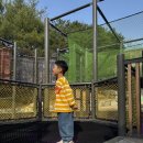 둥지어린이공원 이미지