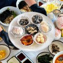 털보애견 이미지