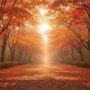 세븐일레븐 정읍건강공단점 | 정읍 칠보산 단풍, 11월 절정기 여행 솔직 후기