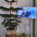 힐링 | 전포동브런치 디노브런치앤다이닝 힐링 후기