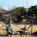경주문화원 이미지