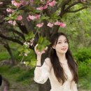 늘푸른전당 이미지