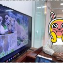 마일스톤영어학원 - 성남시 분당구 판교대장로 92 | 청계동중등영어학원 마일스톤영어전문2관의 특별한 영어 교육 후기