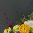 옥스트