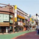 부동선