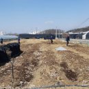 장곡농장 이미지