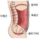 도린필라테스&키즈스튜디오