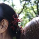 안덕계곡 앞 4 이미지