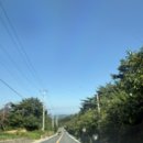 경주 별빛키즈 애견 풀빌라 이미지