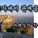 빛나리구제