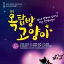 옥탑방 고양이 이미지