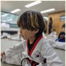 태무태권도장 이미지