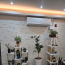 거북선 호스텔 | 여수애견동반펜션 진아리랑호스텔 여수가성비숙소로 추천하는 여수숙소추천