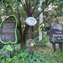 천년의 숲 화장실 이미지