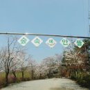 숲속에 안뜰 이미지