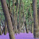 삼문동둔치주차장 이미지