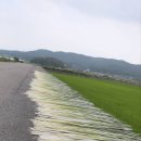 화문석마을 이미지