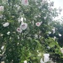 난산리마을회관 이미지