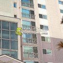 승학동길 Daum카페
