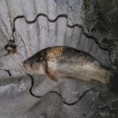 봉림낚시터 이미지