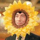 해바라기마트 이미지