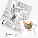 닭고기 부위별 명칭 이미지