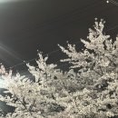인생돼지다산법조단지점 | 다산 법조단지 고깃집 인생돼지, 오겹살과 껍데기 맛집 추천