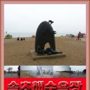 씨젠콘도텔 이미지