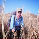 과천역 6번 출구 Daum카페