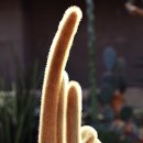 부천자연생태박물관 이미지