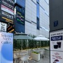 강남학사 | 강남 대형카페 추천! 티라미수 맛집 셀렉티드닉스 강남점 솔직 후기