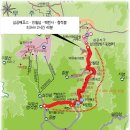 코아항공여행사