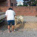 강변석정 이미지