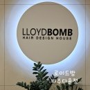 로이드밤 다율점 | 파주 해오름마을 미용실 로이드밤 파주다율점에서 가림선생님 복구 클리닉 후기