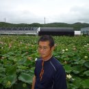 죠이타운 이미지