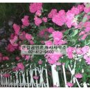 큰길공인중개사사무소 이미지