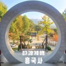 한미산 흥국사 나한전 | 【가을 단풍 여행지 / 경기 고양】 흥국사 (북한산이 보이는 천년고찰, 전망대에서 쉼과 힐링)