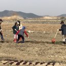 신당농장 쿠키뉴스