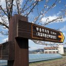 꾀꼬리봉 화장실 이미지