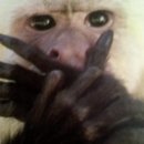 서래양곱창구이 이미지