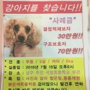 석암초등학교 이미지