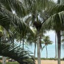 사노피 파스퇴르(주) | 성남 임산부 백일해(부스트릭스 vs 아다셀) 주사