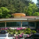 곰비님비 이미지