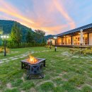 자연속의 펫 이미지