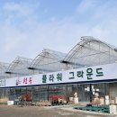 선유삼계탕 이미지