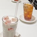 쪽갈비와찜닭 이미지