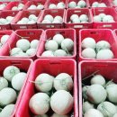 세지농장 이미지