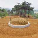 죽산박씨 문헌공파 묘역(박원형, 박안성, 박지영 묘) 이미지